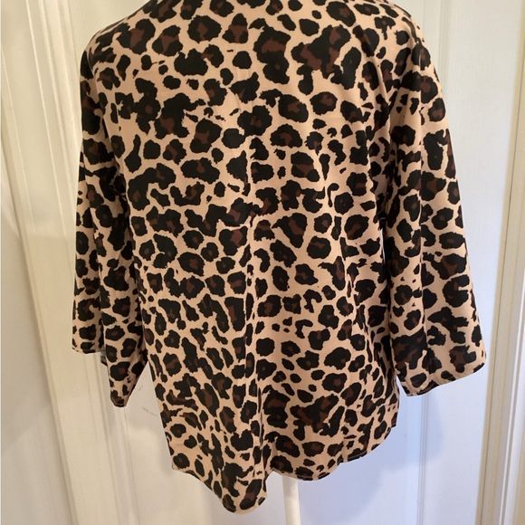 Stylish Leopard Print V-Neck Blouse (NWOT) Color: Leopard) - Picture 5 of 6